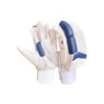 Cricket Glove