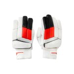 Cricket Glove