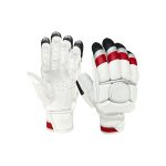Cricket Glove
