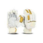 Cricket Glove